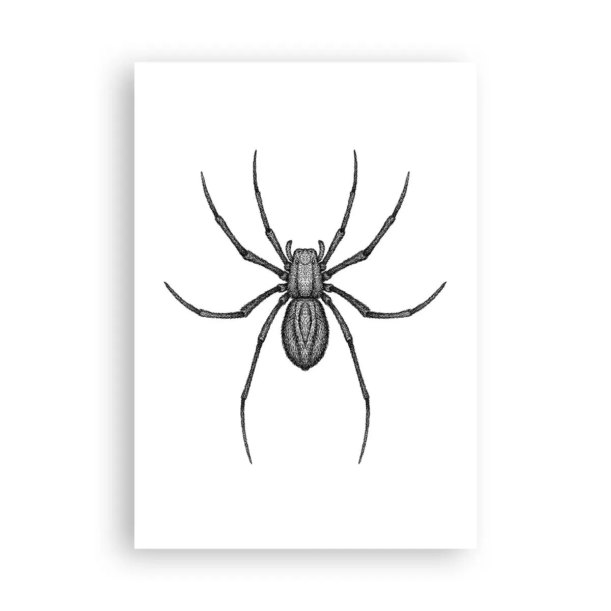 Affiche - Poster - Une précision troublante - 70x100 cm