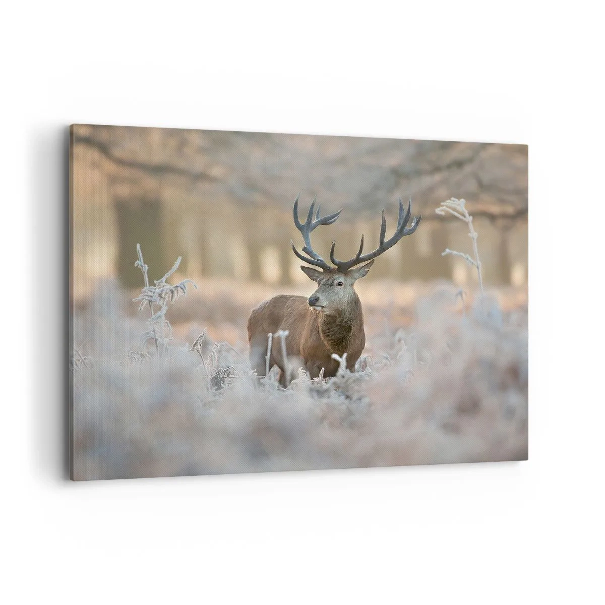 Impression sur toile - Image sur toile - Un cerf dans une clairière givrée dans une forêt hivernale aux couleurs subtiles - 120x80cm - Une matinée animée - Décoration murale moderne pour le salon et la chambre ARTTOR