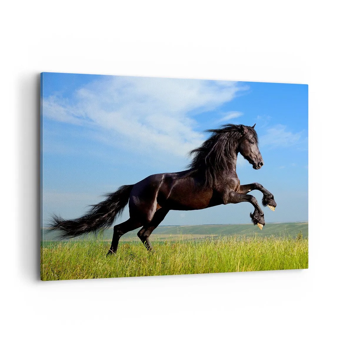 Impression sur toile - Image sur toile - Un cheval noir courant contre un ciel bleu et une prairie verte - 100x70cm - Un manifeste de liberté passionnant - Décoration murale moderne pour le salon et la chambre ARTTOR