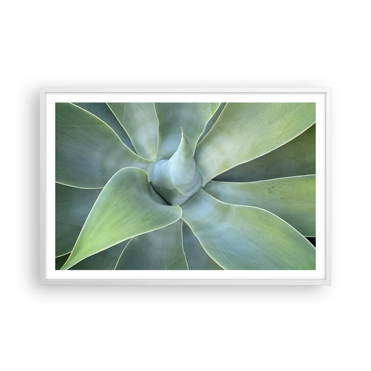 Affiche dans un cadre blanc - Poster - La naissance de la verdure - 91x61 cm