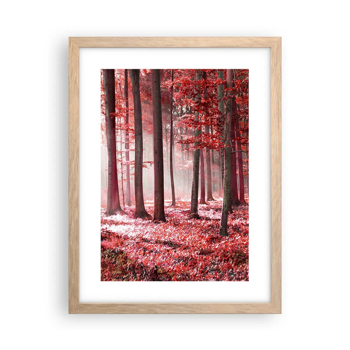 Affiche dans un chêne clair - Poster - Le rouge est tout aussi beau - 30x40 cm