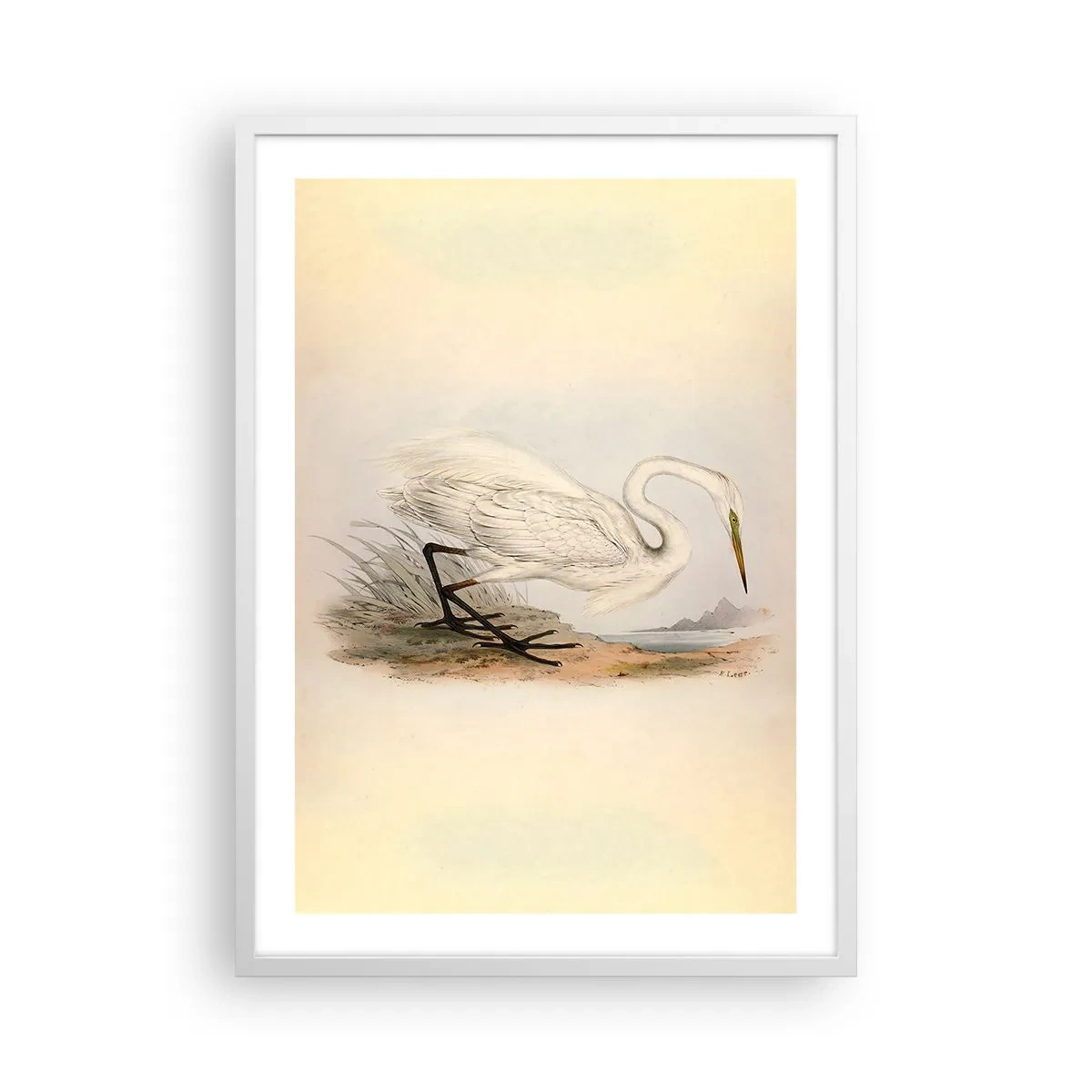 Affiche dans un cadre blanc - Poster - Dame sur les joncs - 50x70 cm