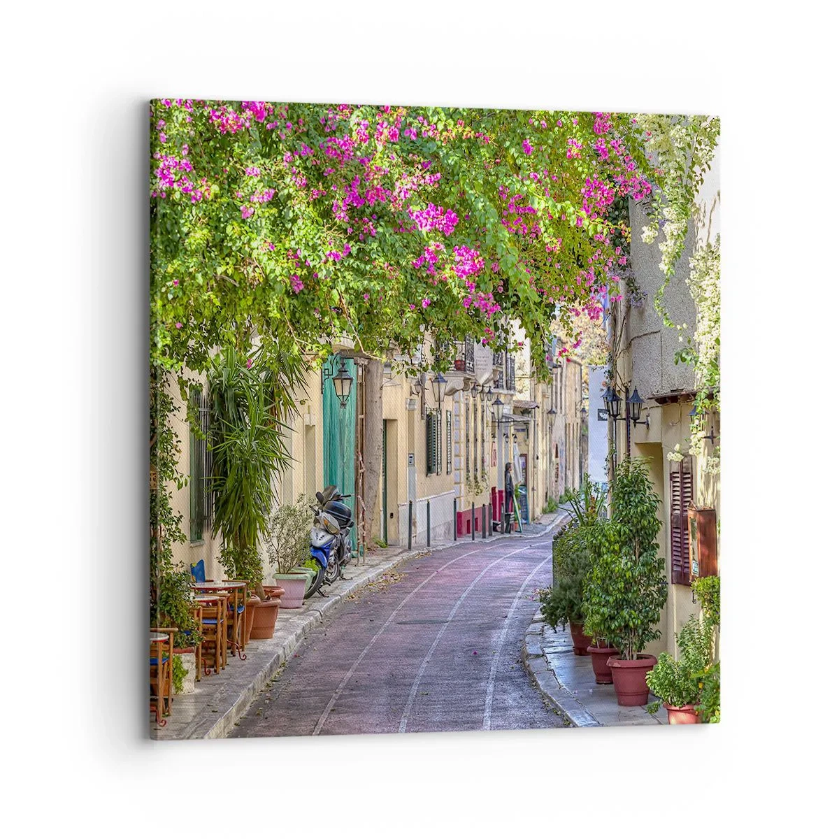 Impression sur toile - Image sur toile - Allée fleurie - 70x70 cm