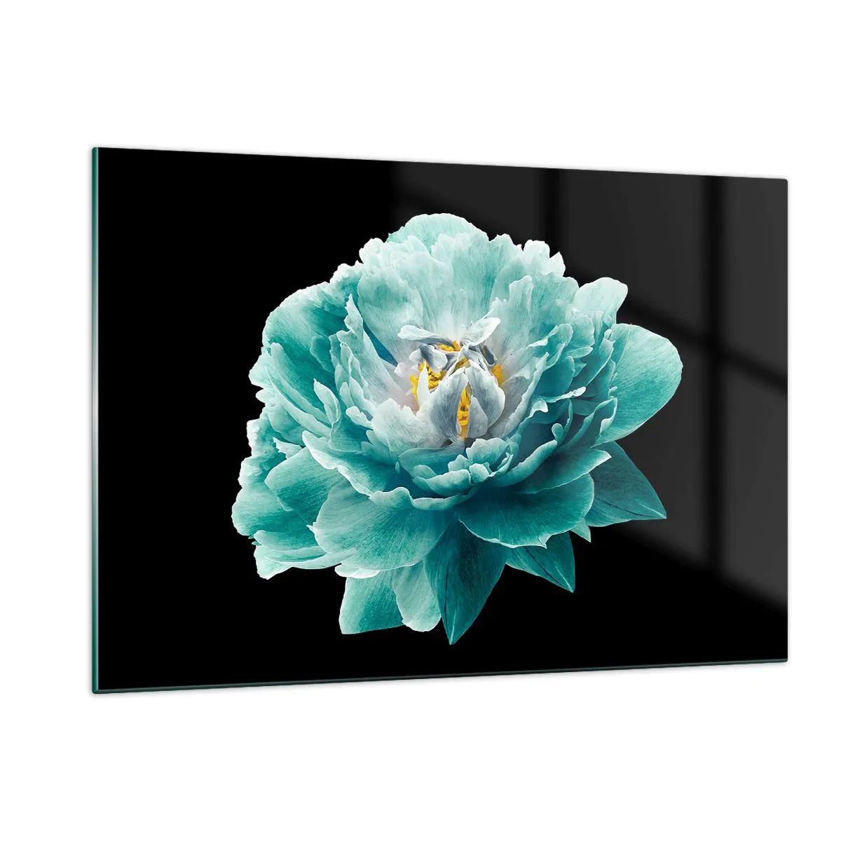 Impression sur verre - Image sur verre - Une fleur turquoise avec un centre jaune sur fond noir dans un style glamour. - 120x80cm - Pétales bleus et dorés - Décoration murale moderne pour le salon et la chambre ARTTOR