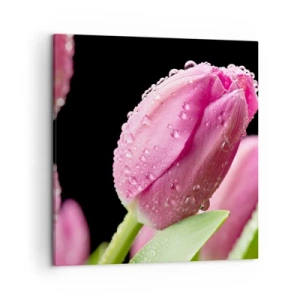 Impression sur toile - Image sur toile - Rêve de lilas dans la rosée - 50x50 cm