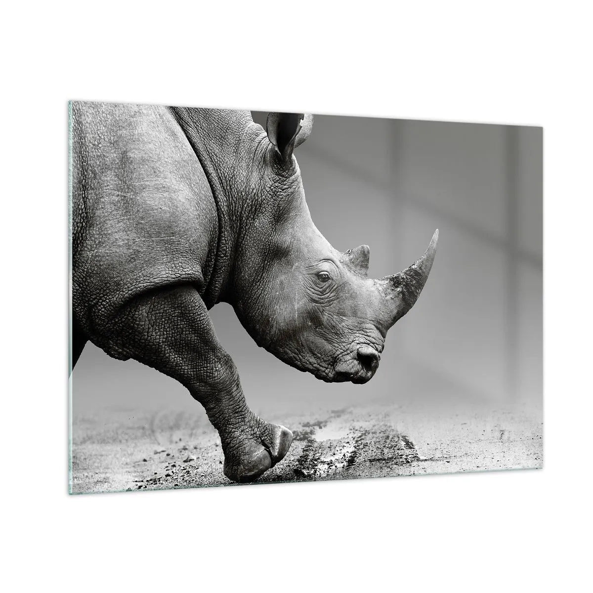 Impression sur verre - Image sur verre - Un rhinocéros en mouvement sur un fond gris - 100x70cm - Force inarrêtable - Décoration murale moderne pour le salon et la chambre ARTTOR