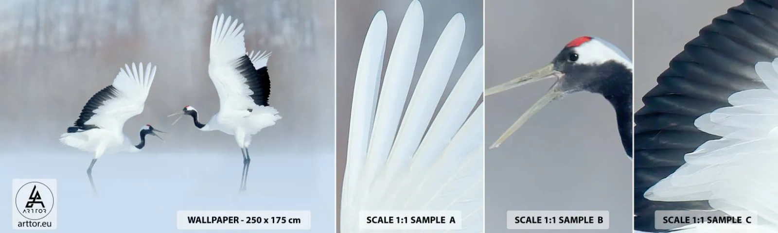 Échantillon de Papier Peint Autocollant Deluxe Sticker - Danse dans le brouillard - Hiver, Oiseau, Nature - 100x30 cm