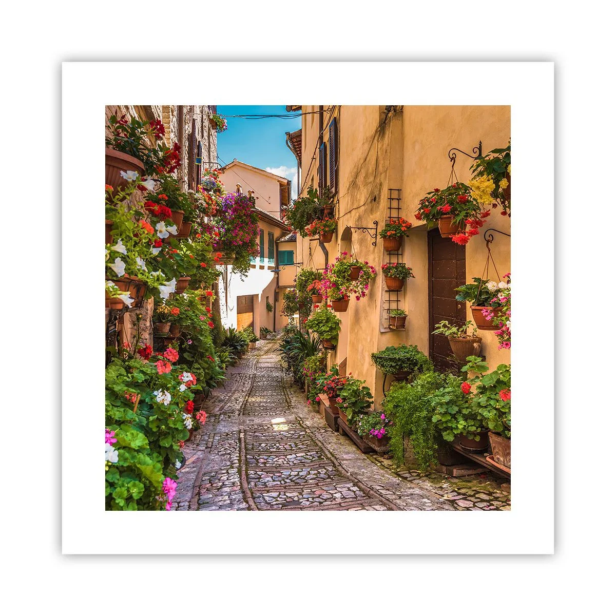 Affiche - Poster - Ruelle italienne - 40x40 cm
