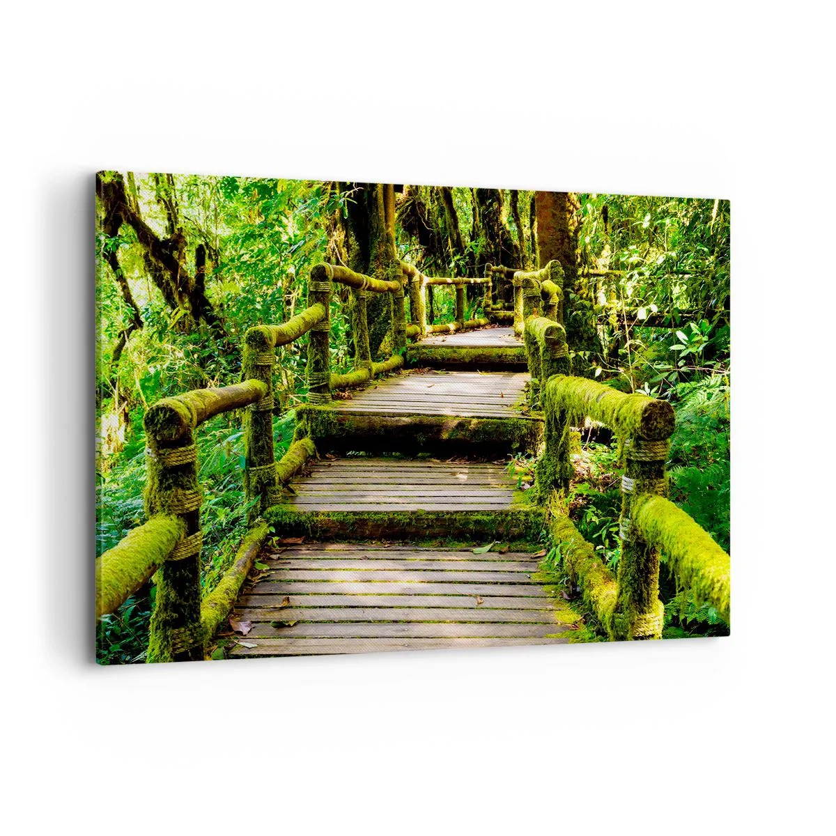Impression sur toile - Image sur toile - Un pont en bois recouvert de mousse dans une forêt tropicale - 120x80cm - Un couloir de verdure - Décoration murale moderne pour le salon et la chambre ARTTOR