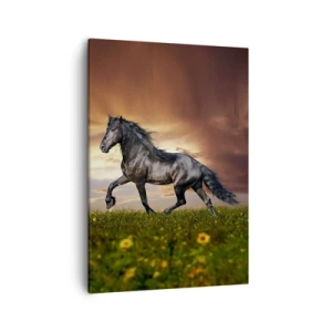 Impression sur toile - Image sur toile - Un cheval noir galopant contre le soleil couchant - 50x70cm - Livres noirs - Décoration murale moderne pour le salon et la chambre ARTTOR