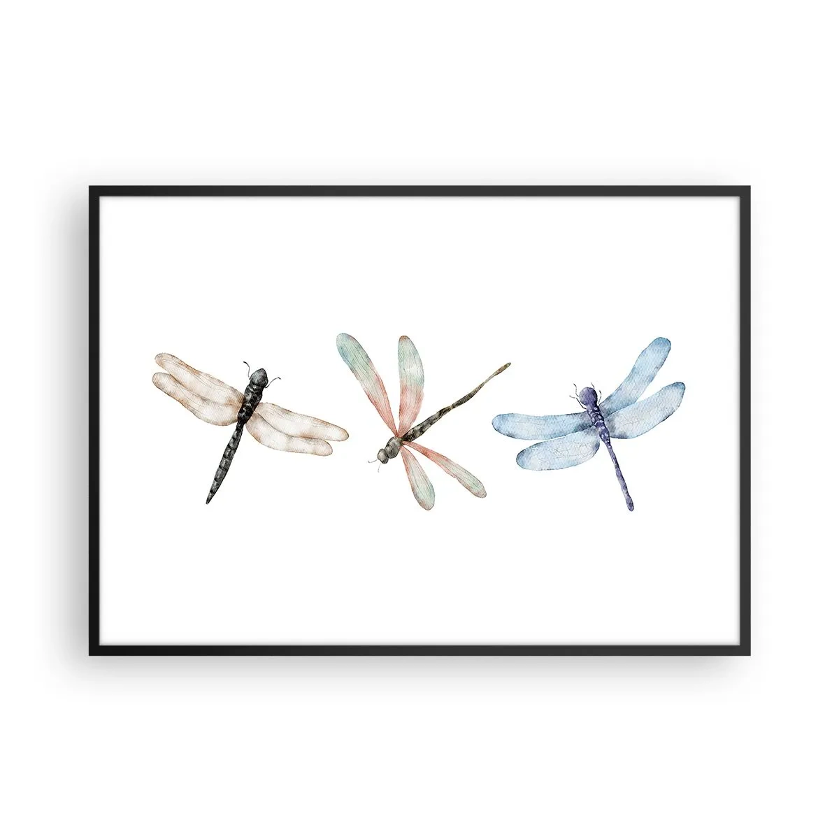 Affiche dans un cadre noir - Poster - Trois libellules aux couleurs pastel délicates - 100x70cm - Libellules en apesanteur - Décoration murale moderne pour le salon et la chambre ARTTOR