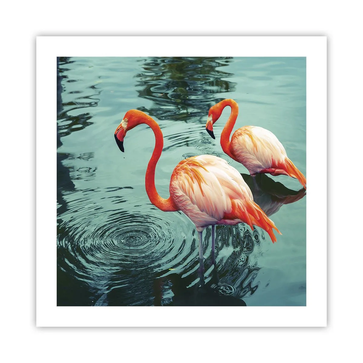 Affiche - Poster - Nous sommes à la mode maintenant - 50x50 cm