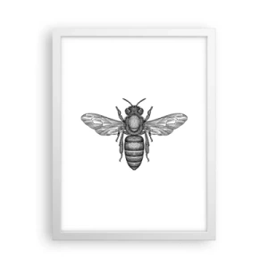Affiche dans un cadre blanc - Poster - Portrait d'insecte - 30x40 cm