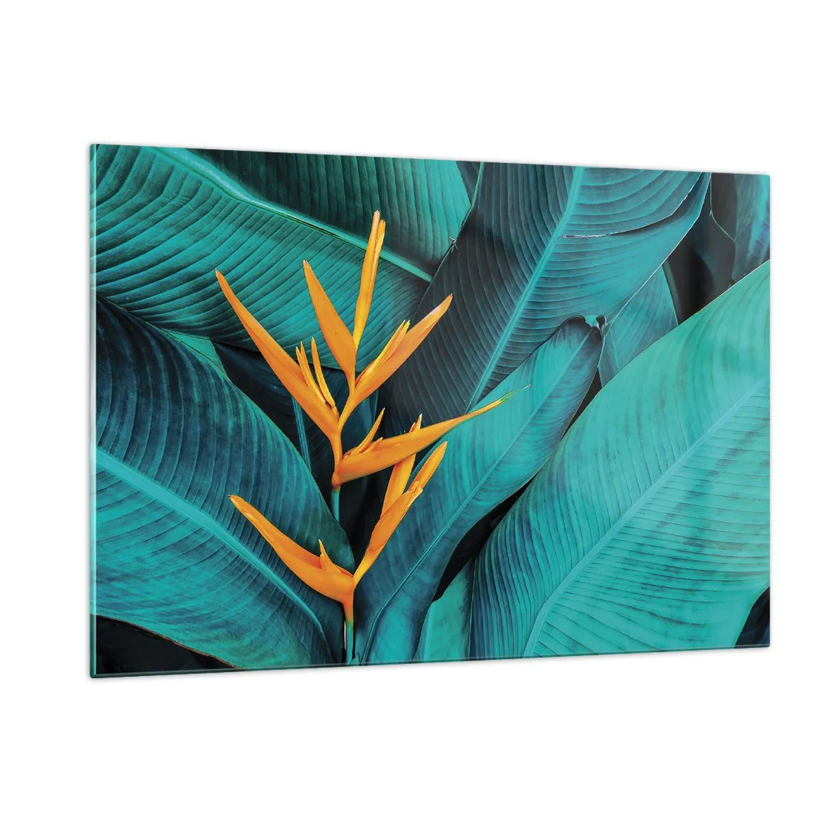 Impression sur verre - Image sur verre - Une fleur exotique sur un fond de grandes feuilles vertes. - 120x80cm - Fleur d'Eden - Décoration murale moderne pour le salon et la chambre ARTTOR
