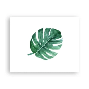 Affiche - Poster - Concept vert - 50x40 cm