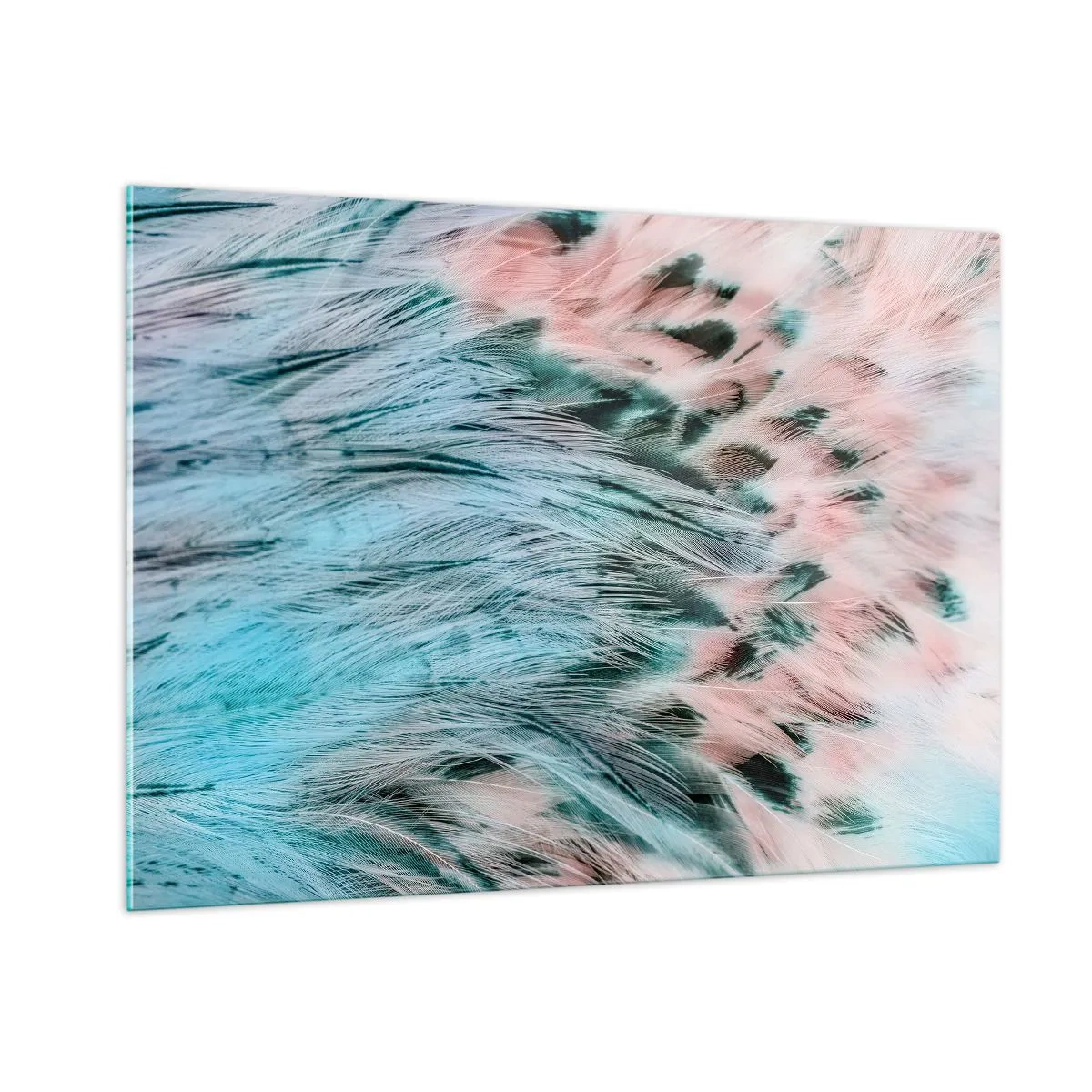 Impression sur verre - Image sur verre - Gros plan de plumes aux tons rose saphir - 100x70cm - Duvet rose saphir - Décoration murale moderne pour le salon et la chambre ARTTOR