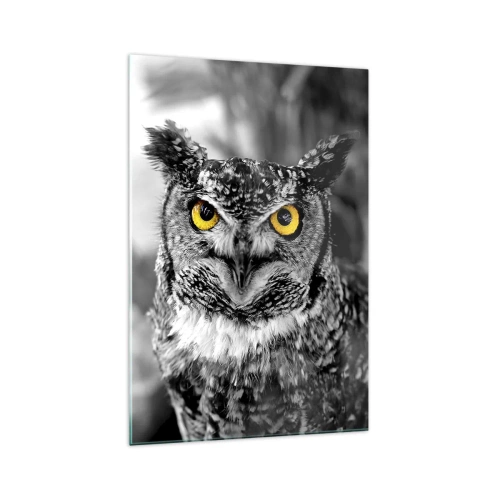 Impression sur verre - Image sur verre - Une photo en noir et blanc d'un hibou aux yeux jaunes - 70x100cm - Rien ne se cachera - Décoration murale moderne pour le salon et la chambre ARTTOR