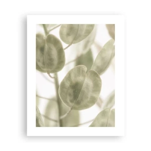 Affiche - Poster - Au commencement il y avait des feuilles... - 40x50 cm