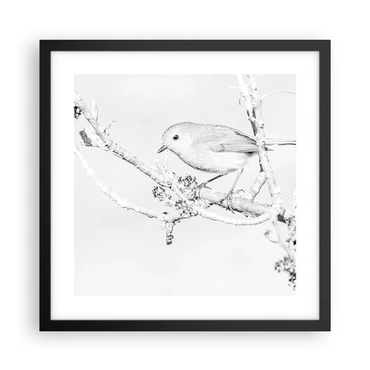 Affiche dans un cadre noir - Poster - Matin d'hiver - 40x40 cm