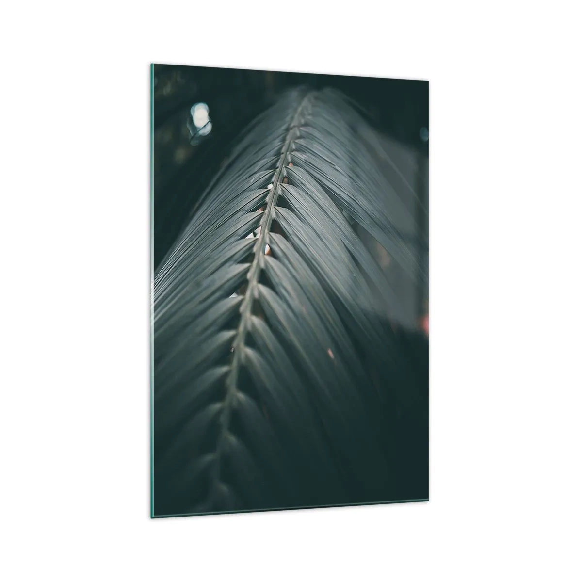 Impression sur verre - Image sur verre - Gros plan d'un détail de feuille de palmier aux tons sombres - 70x100cm - Précision de la nature - Décoration murale moderne pour le salon et la chambre ARTTOR
