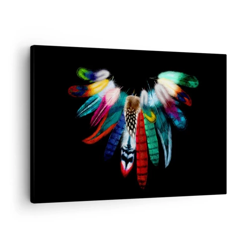 Impression sur toile - Image sur toile - Plumes colorées sur fond noir dans une composition artistique - 70x50cm - Collier indien - Décoration murale moderne pour le salon et la chambre ARTTOR