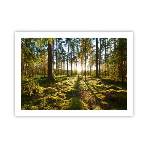 Affiche - Poster - … Derrière les sept forêts - 70x50 cm