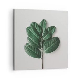 Impression sur toile - Image sur toile - Dessin de la nature elle-même - 50x50 cm