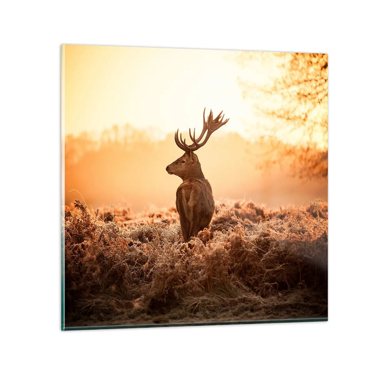 Impression sur verre - Image sur verre - Seigneur du domaine - 60x60 cm