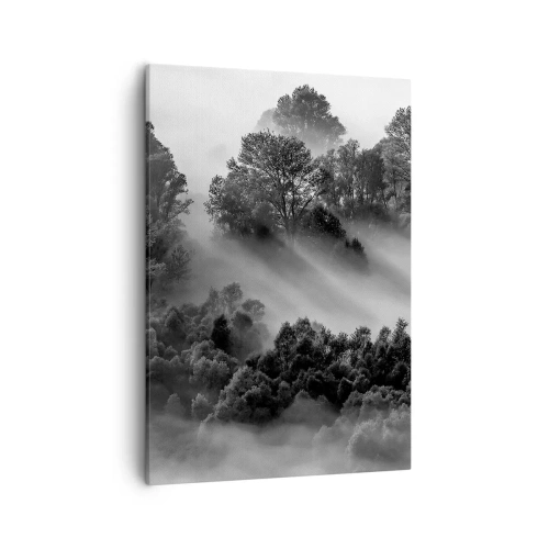 Impression sur toile - Image sur toile - Paysage forestier noir et blanc dans le brouillard du matin - 50x70cm - Sortir de son sommeil - Décoration murale moderne pour le salon et la chambre ARTTOR