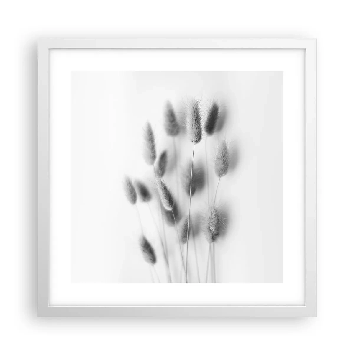 Affiche dans un cadre blanc - Poster - Son herbe duveteuse - 40x40 cm