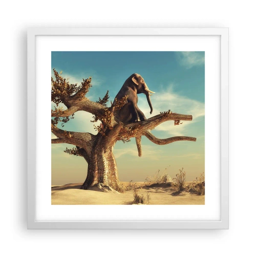Affiche dans un cadre blanc - Poster - Nouveau point de vue - 40x40 cm