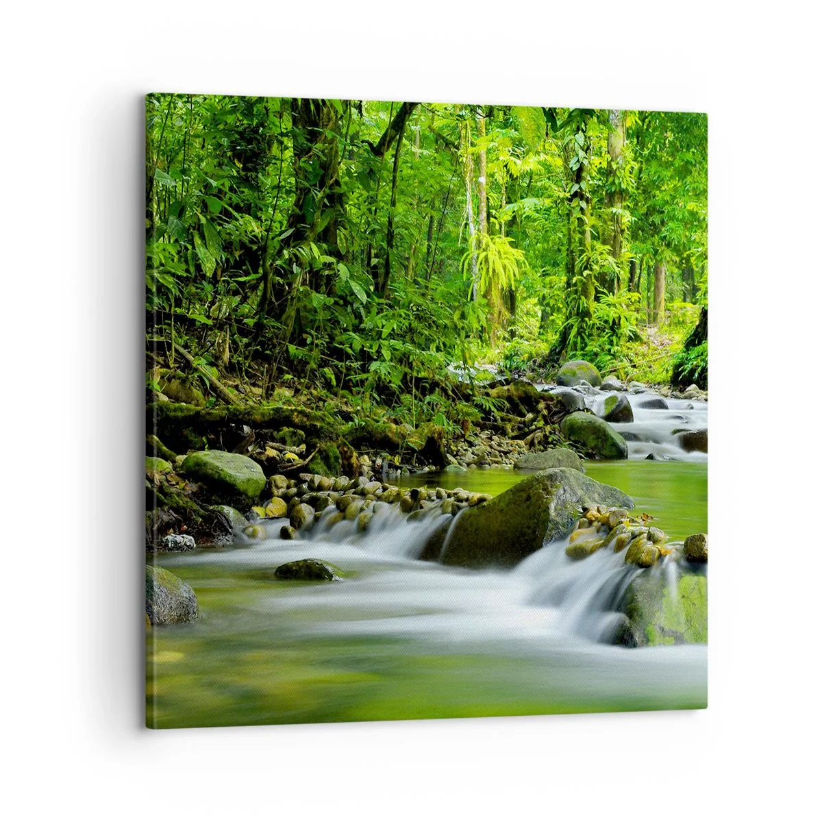 Impression sur toile - Image sur toile - Nager dans un océan de verdure - 60x60 cm