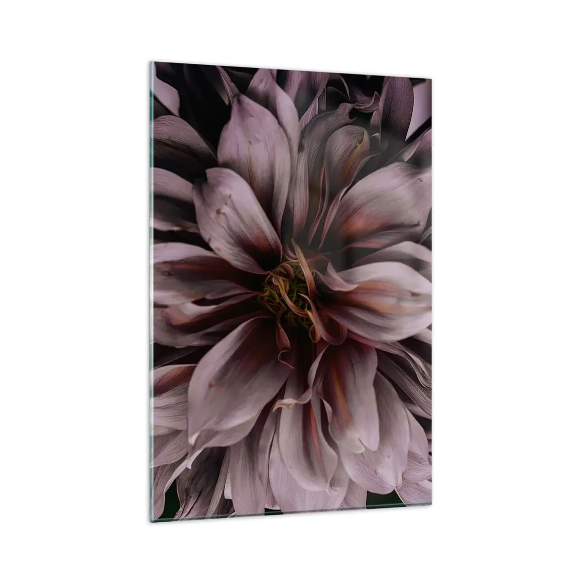 Impression sur verre - Image sur verre - Gros plan d'une grande fleur aux couleurs subtiles - 80x120cm - Un coeur fleuri - Décoration murale moderne pour le salon et la chambre ARTTOR