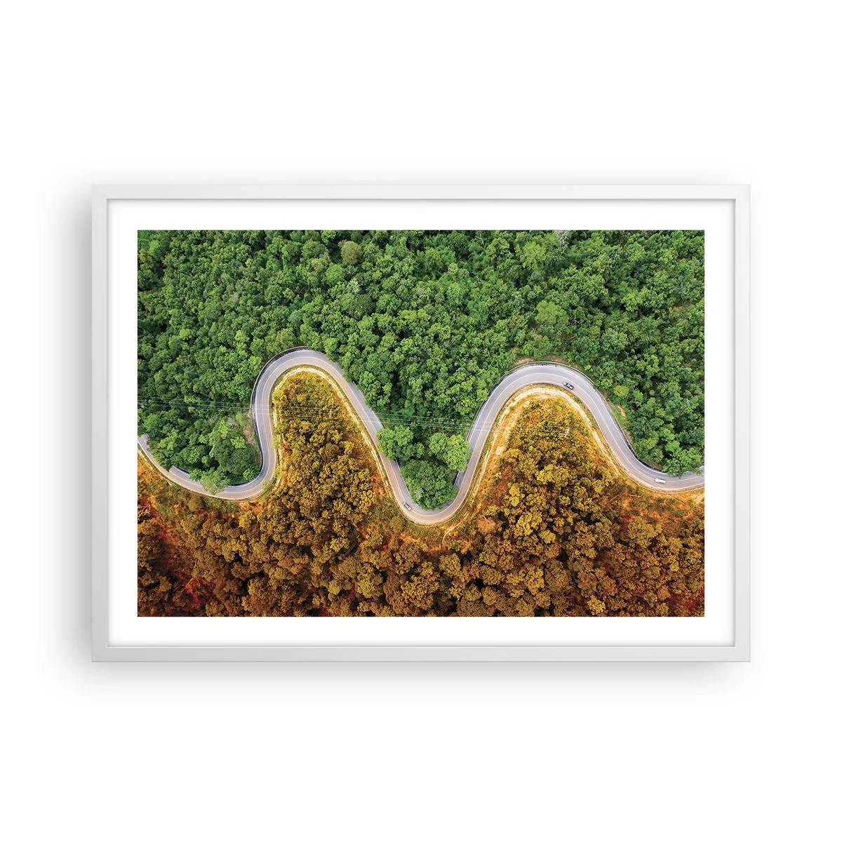 Affiche dans un cadre blanc - Poster - Frontieres et differences - 70x50 cm