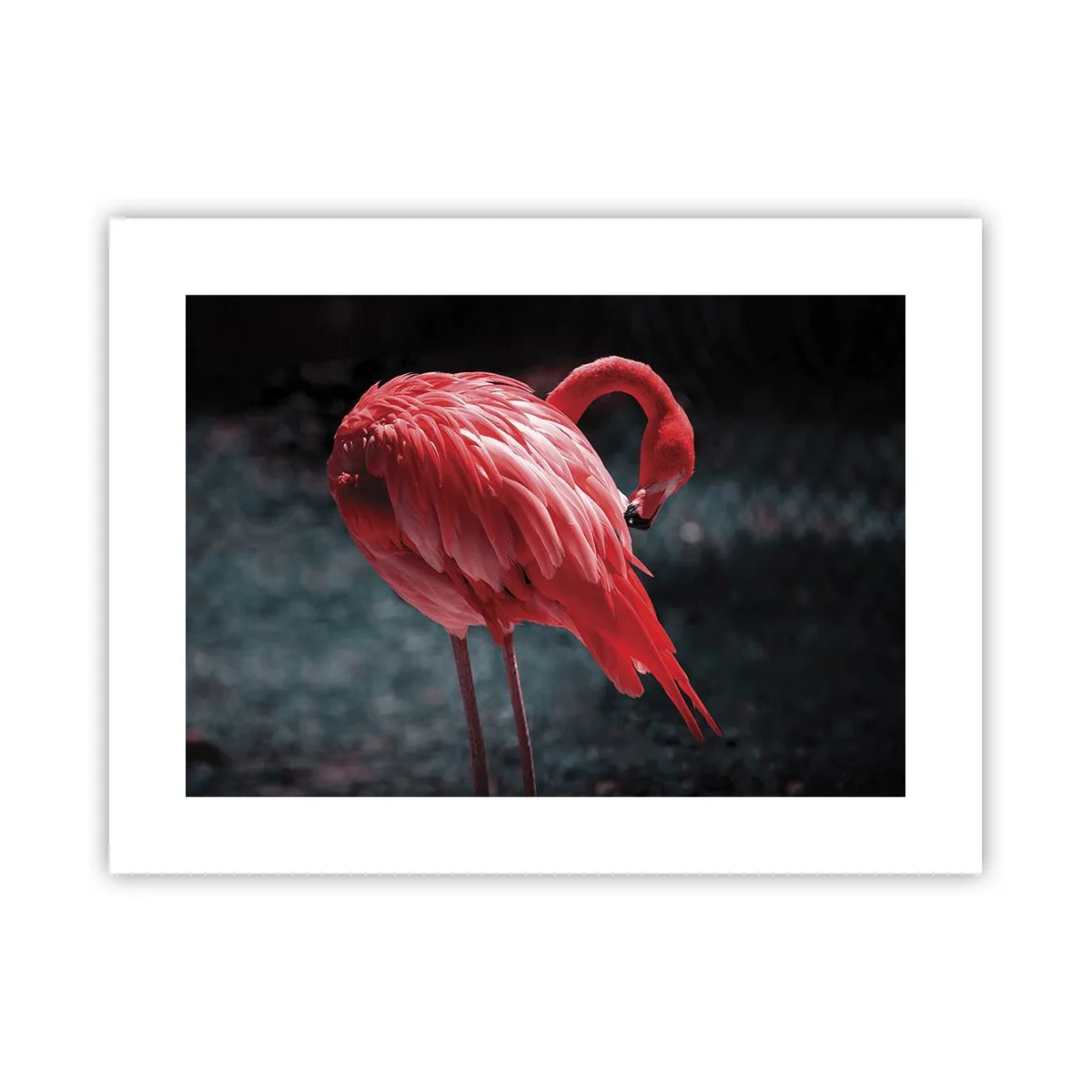 Affiche - Poster - Poème cramoisi de la nature - 40x30 cm