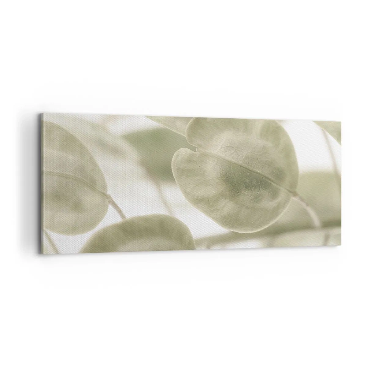 Impression sur toile - Image sur toile - Au commencement il y avait des feuilles... - 100x40 cm