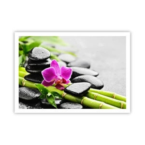 Affiche - Poster - Orchidée violette, pierres noires et bambou dans une composition tranquille - 100x70cm - Dans un équilibre de calme - Décoration murale moderne pour le salon et la chambre ARTTOR