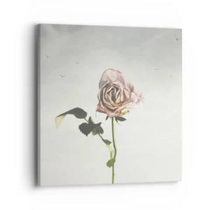 Impression sur toile - Image sur toile - Bonjour de printemps - 40x40 cm