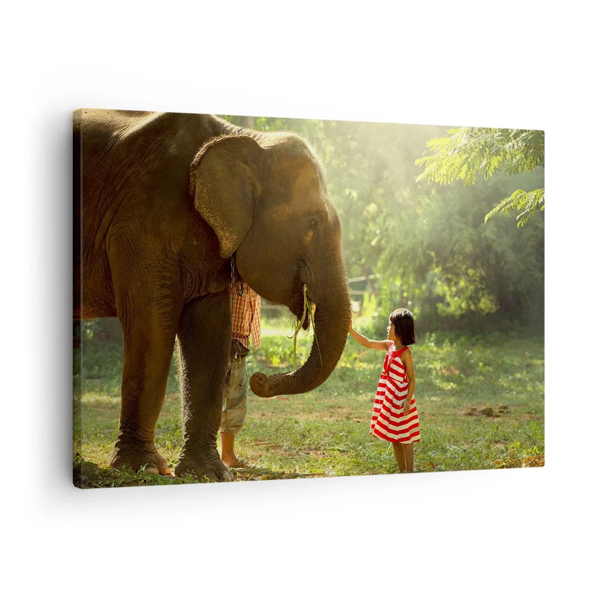 Impression sur toile - Image sur toile - Une fille en robe rouge touchant un éléphant dans la forêt. - 70x50cm - La force de l'amitié - Décoration murale moderne pour le salon et la chambre ARTTOR