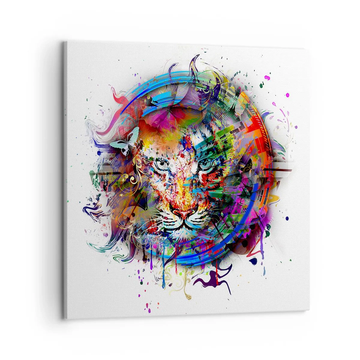 Impression sur toile - Image sur toile - Il se cache derrière un voile arc-en-ciel - 50x50 cm