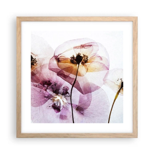 Affiche dans un chêne clair - Poster - Corps de fleurs transparente - 40x40 cm