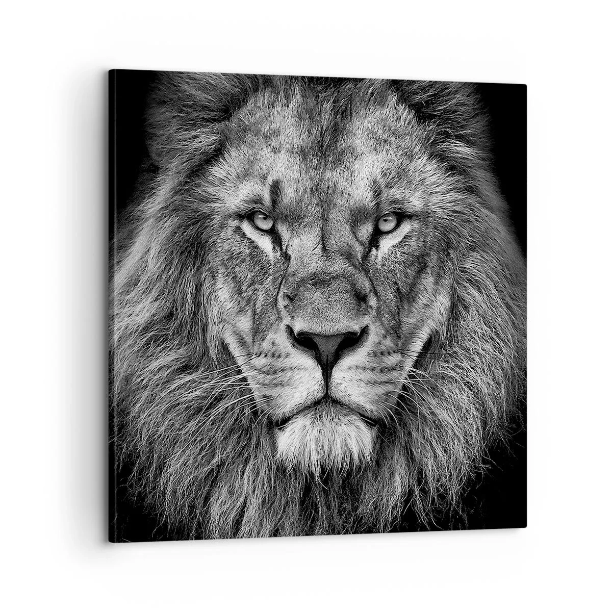 Impression sur toile - Image sur toile - En vêtement de sacre - 60x60 cm
