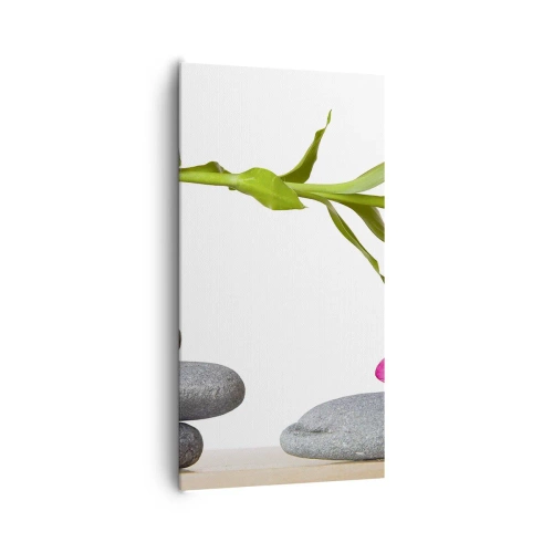 Impression sur toile - Image sur toile - Couleurs de la vie et de la durée - 65x120 cm