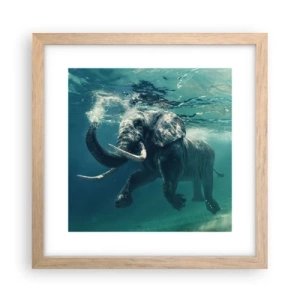 Affiche dans un chêne clair - Poster - Tout le monde aime nager - 30x30 cm