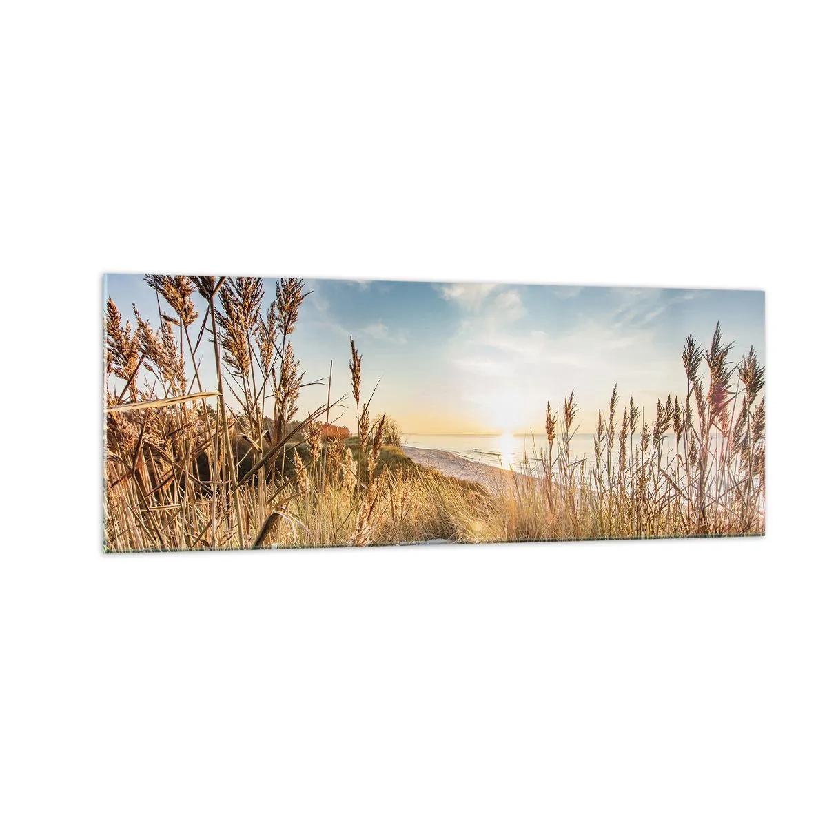 Impression sur verre - Image sur verre - Une plage pittoresque avec de l'herbe et le soleil couchant - 140x50cm - Plage du nord - Décoration murale moderne pour le salon et la chambre ARTTOR