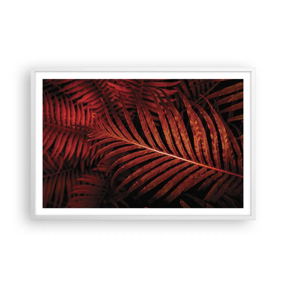 Affiche dans un cadre blanc - Poster - Chaleur de la vie - 91x61 cm