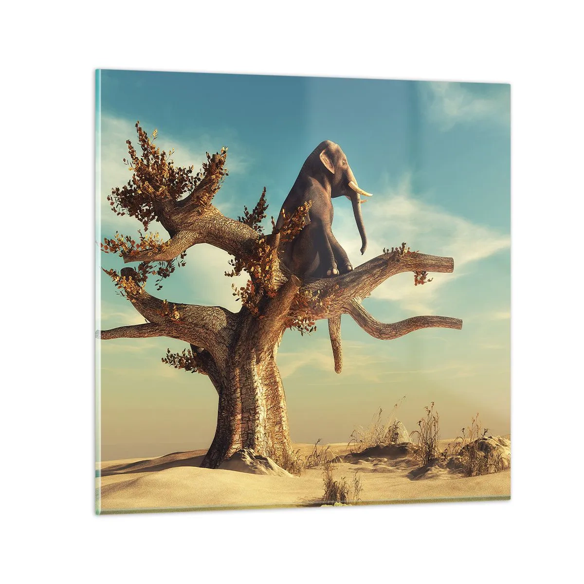 Impression sur verre - Image sur verre - Nouveau point de vue - 30x30 cm