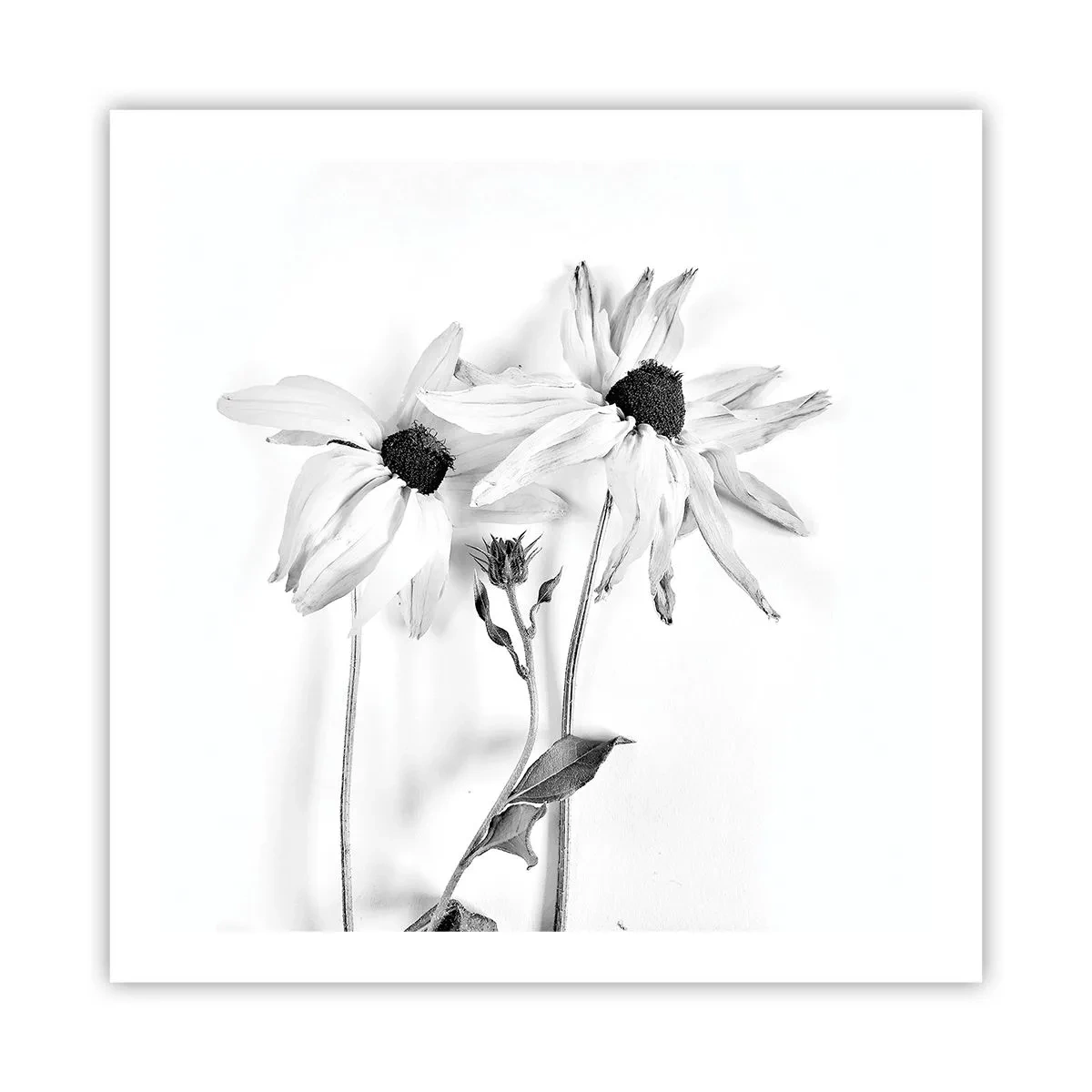 Affiche - Poster - Personne ne souhaite être seul - 60x60 cm