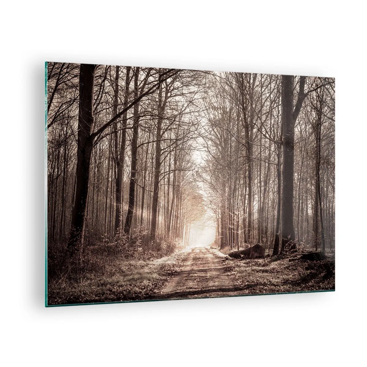 Impression sur verre - Image sur verre - Route forestière dans le brouillard matinal - 70x50cm - Cathédrale de la forêt - Décoration murale moderne pour le salon et la chambre ARTTOR