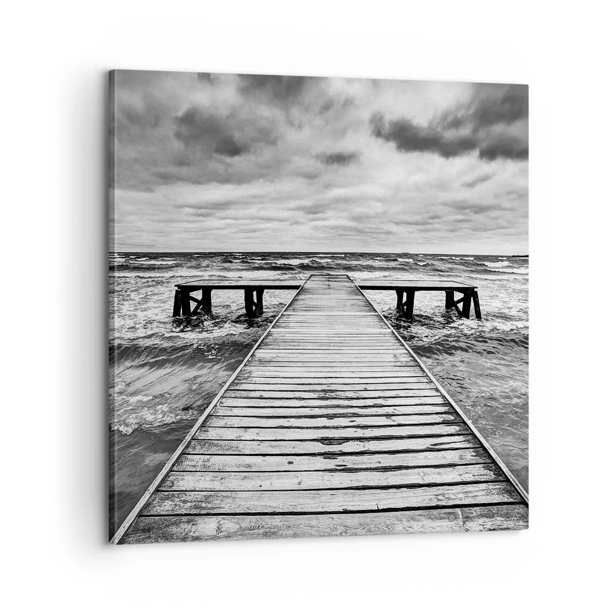 Impression sur toile - Image sur toile - J'attends que le vent, ça le chassera... - 60x60 cm